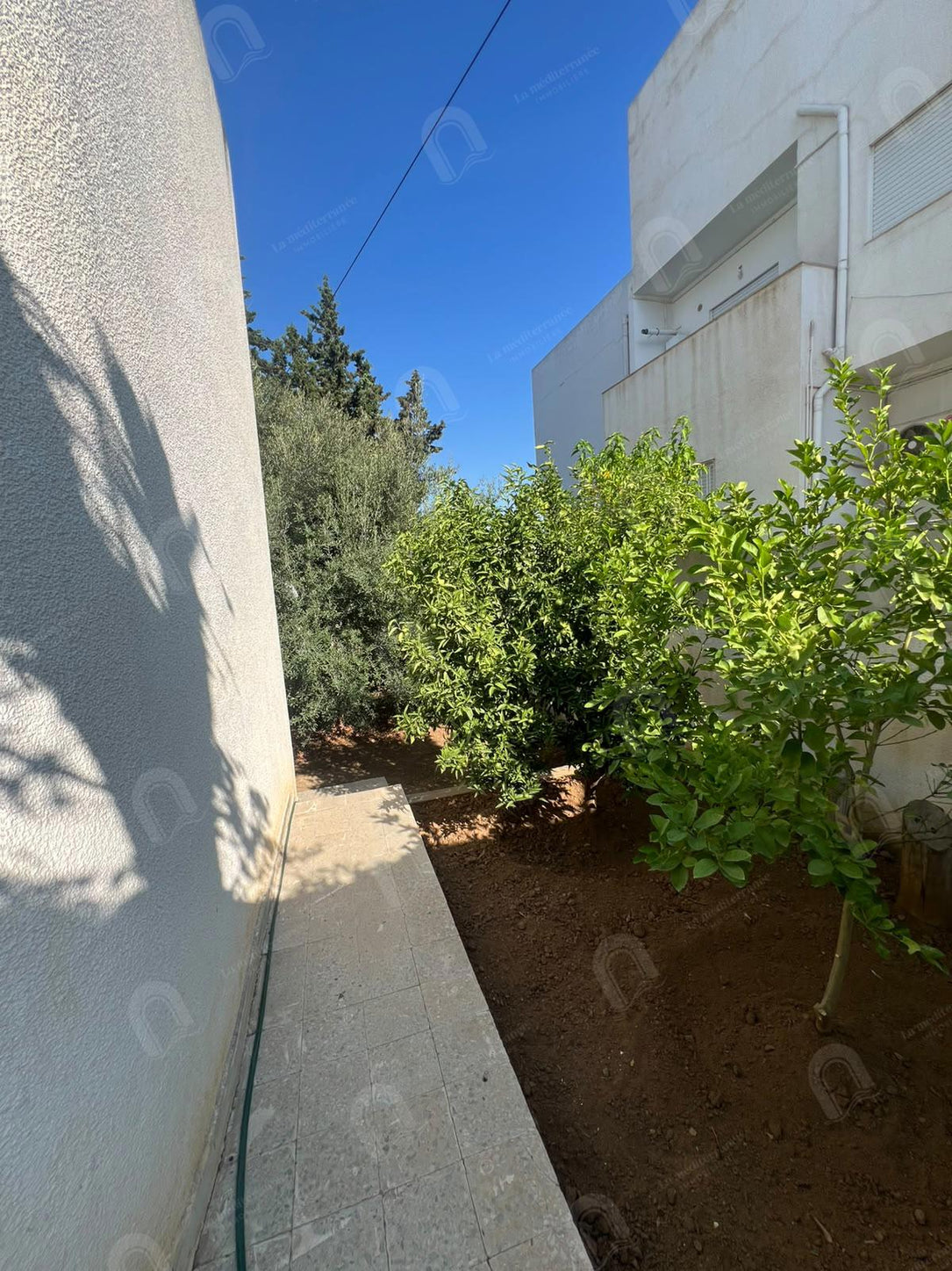 A vendre villa à menzah 8