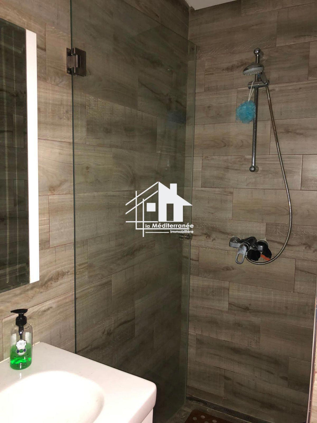 a vendre s+5 a ennaser 2