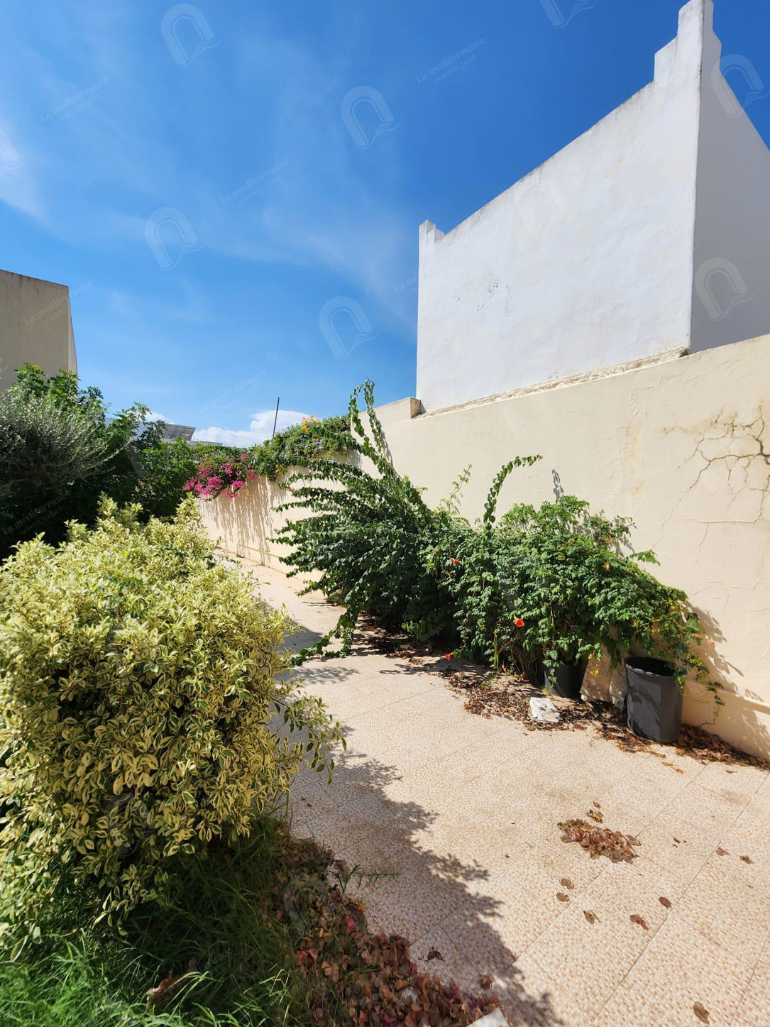 a louer villa s+4 avec jardin et piscine