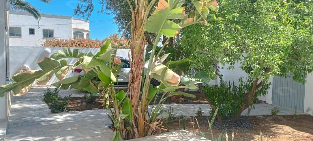 Villa a louer a la soukra chotrana 3 s+3 3500