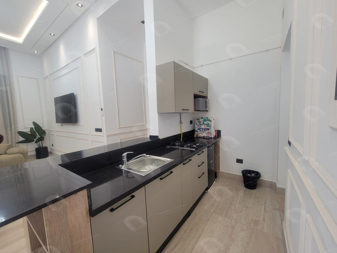 a louer appartement s2 meublé au avenue de carthage