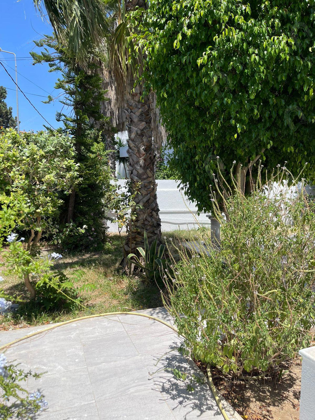 a louer villa a menzeh 1