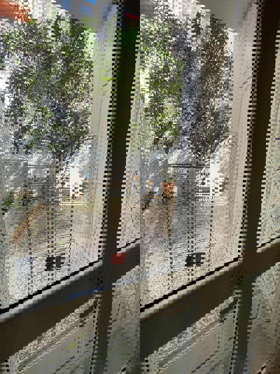 A vendre duplex a cite ibn Khaldoun