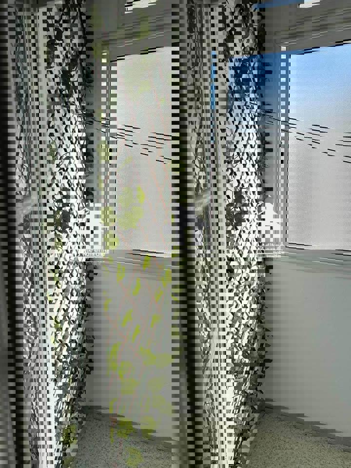 à louer appartement  s+1 meublé à 7 novembre  bab saadoun