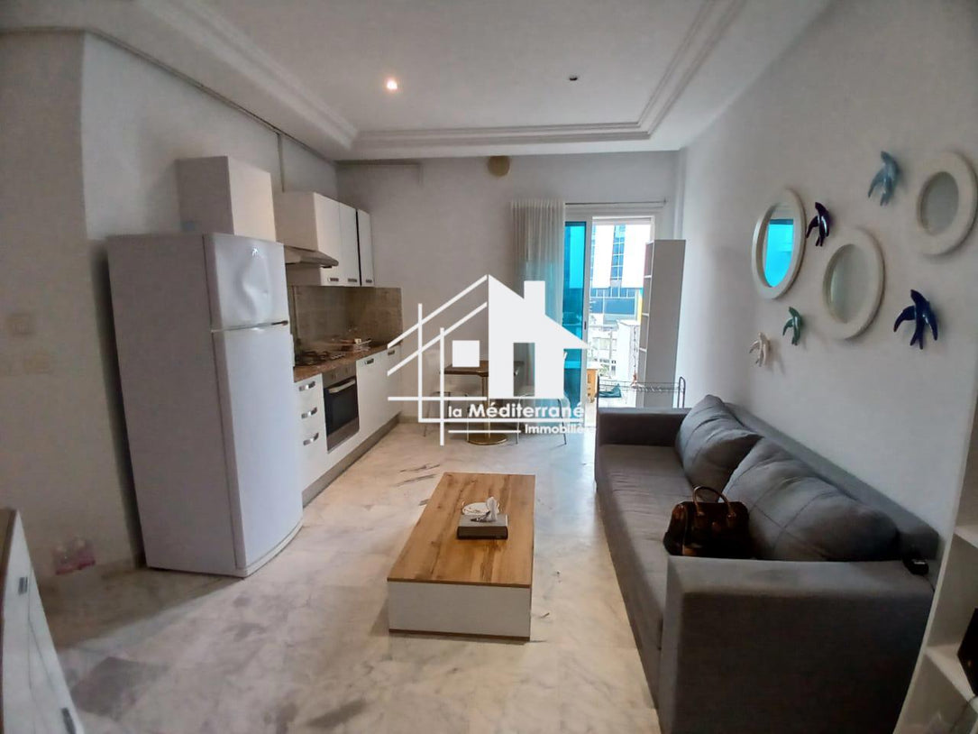 Appartement s1 a louer