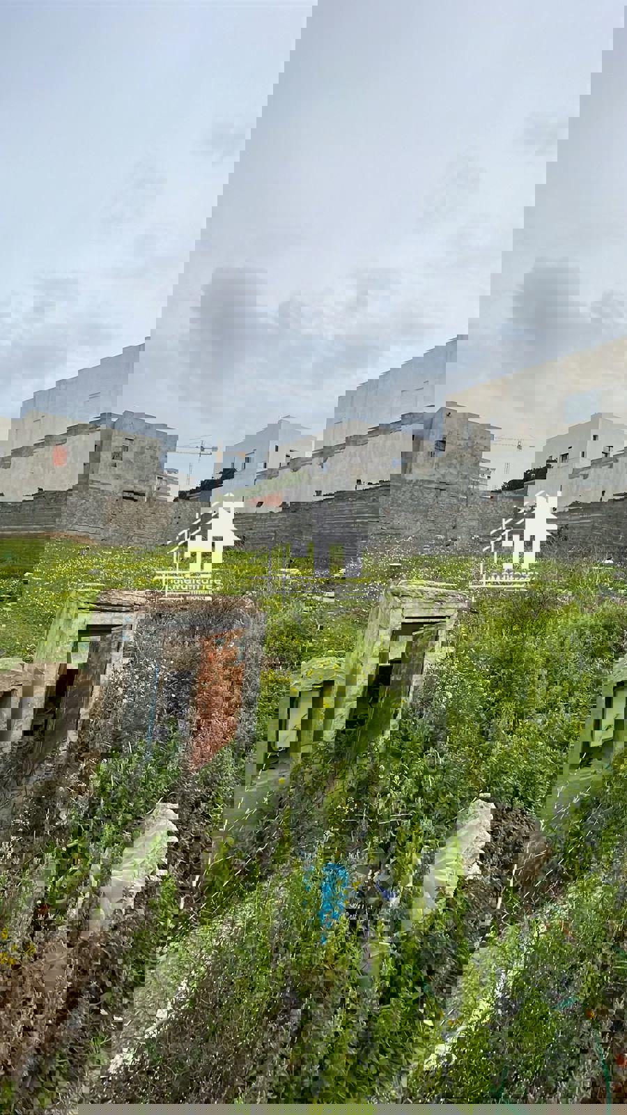 A vendre lot de terrain de 544m a jdm2