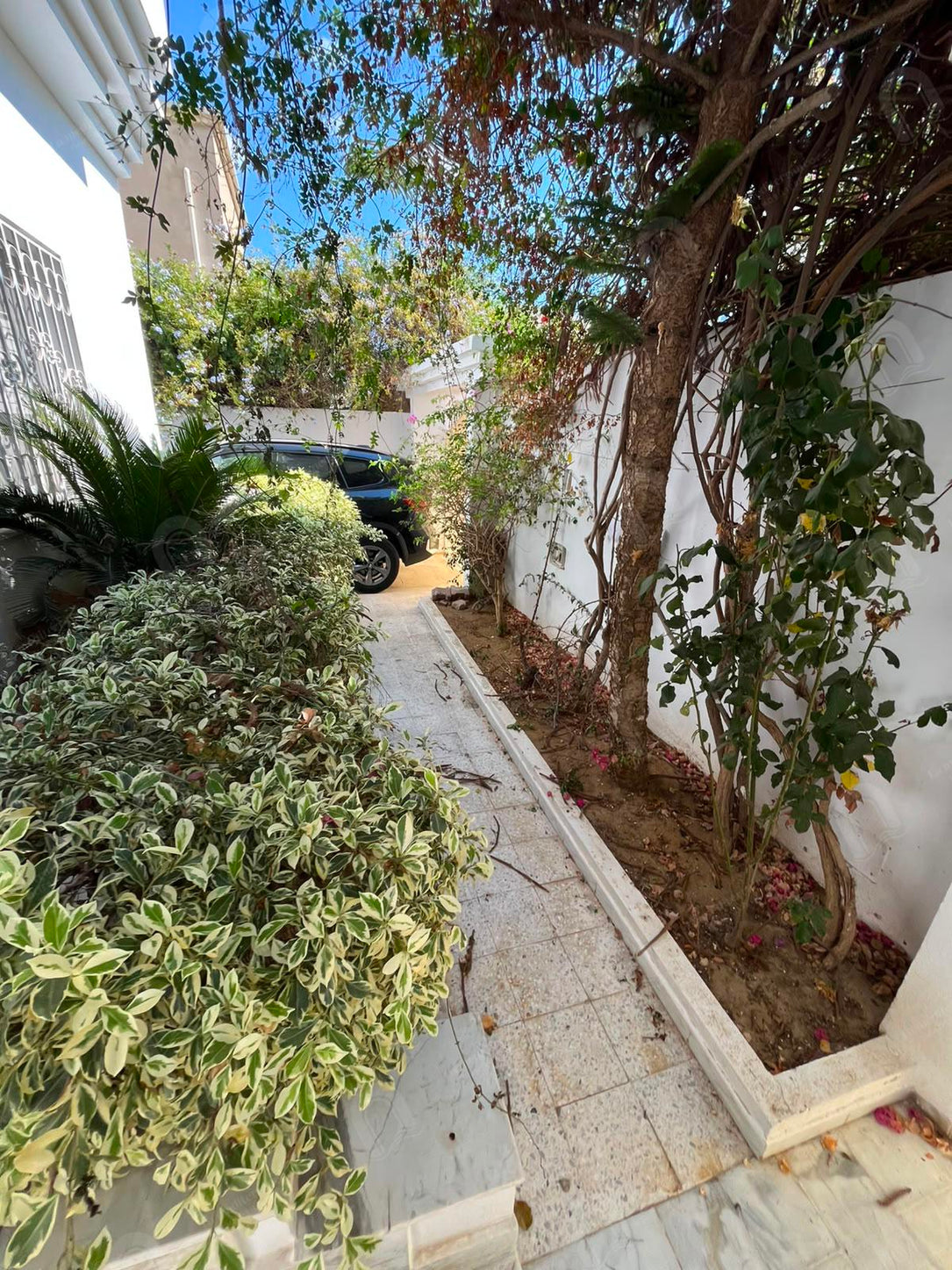 RDC de villa s+4 aux Jardins de Carthage