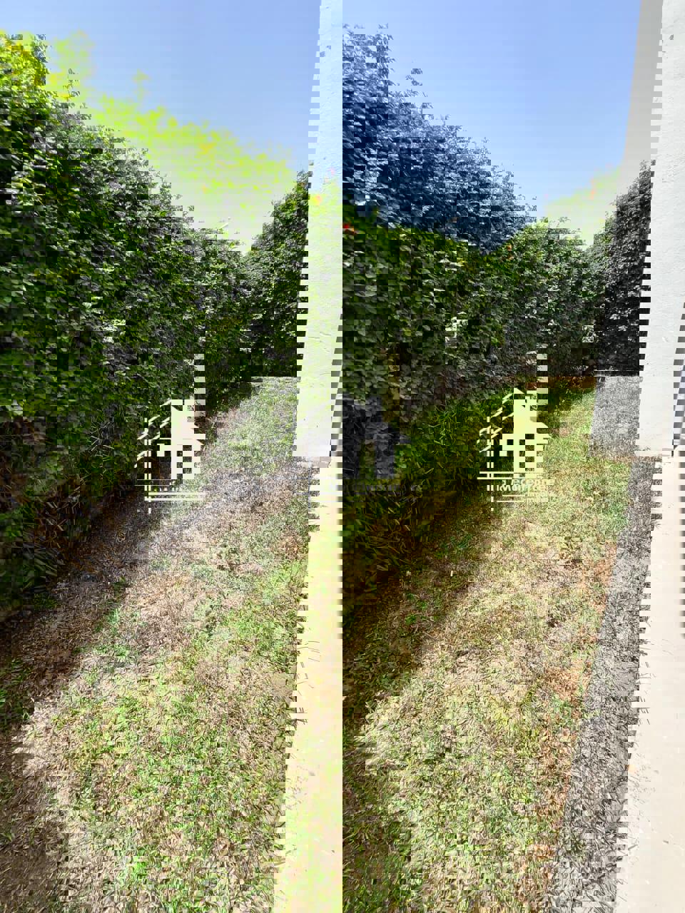 A louer un duplex S3 avec jardin