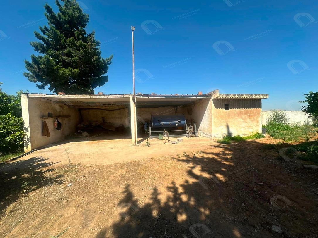 A vendre Terrain  à Mornrg