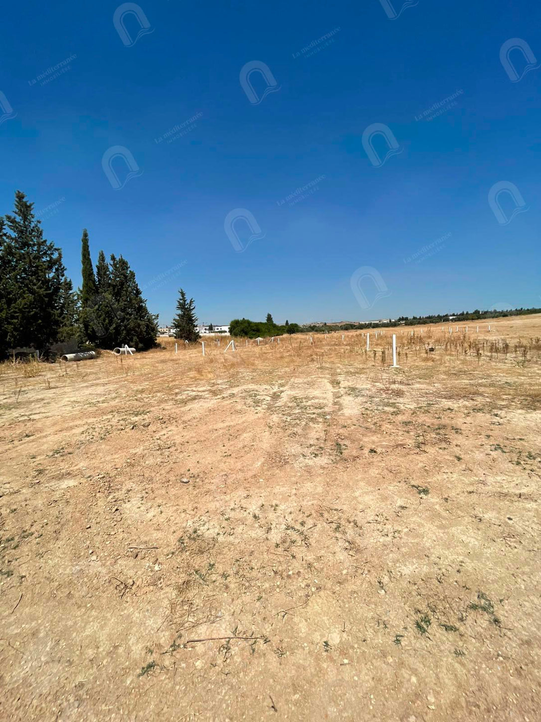 A vendre un terrain à Mornaguia