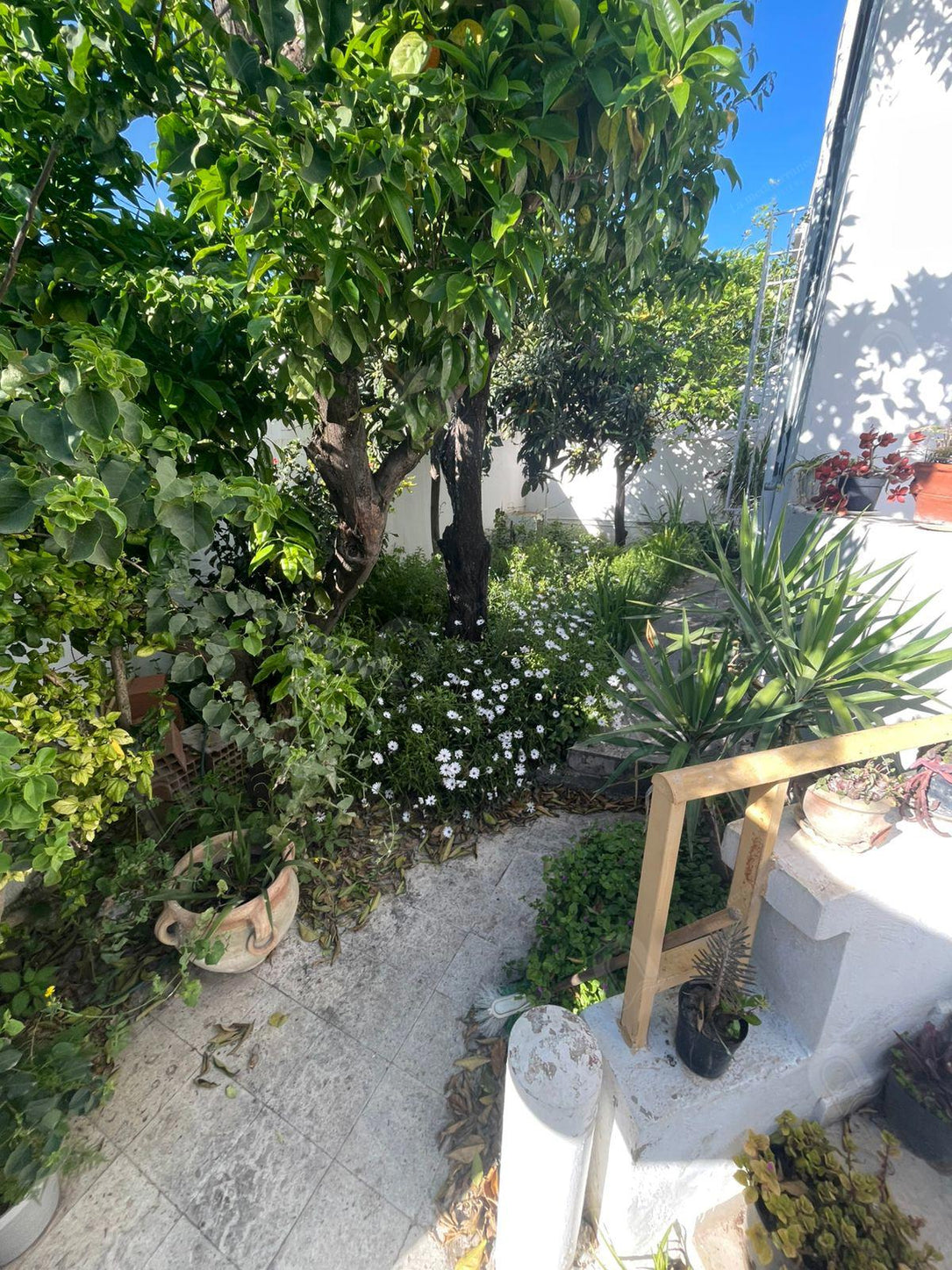 A vendre une villa 2S+1 indépendante  au bardo centre