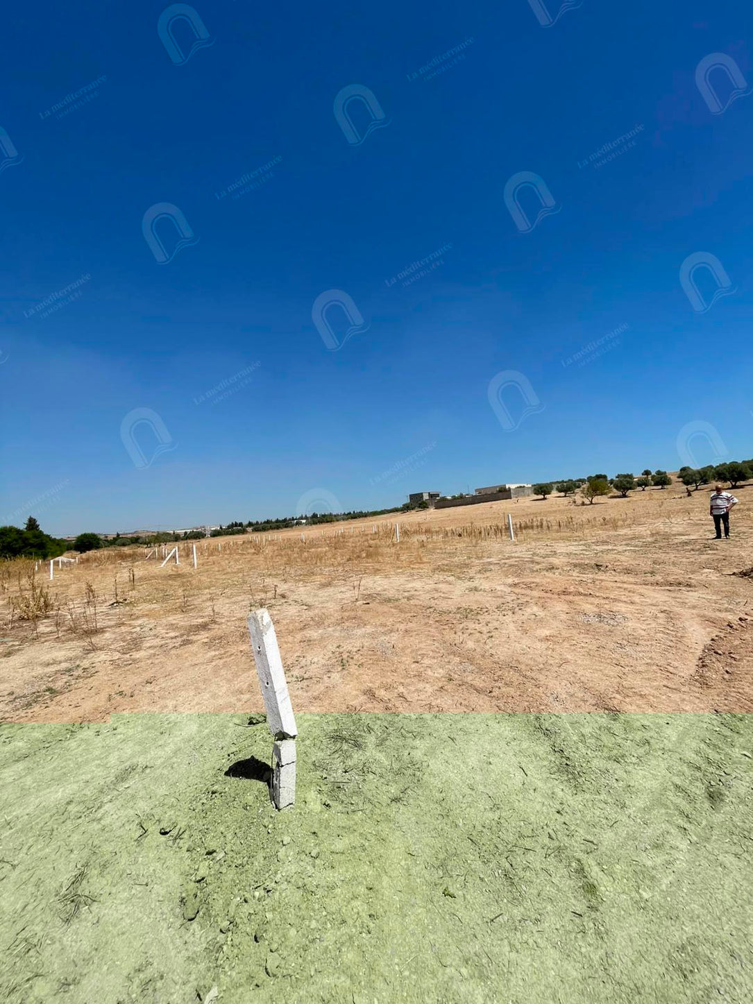 A vendre un terrain à Mornaguia