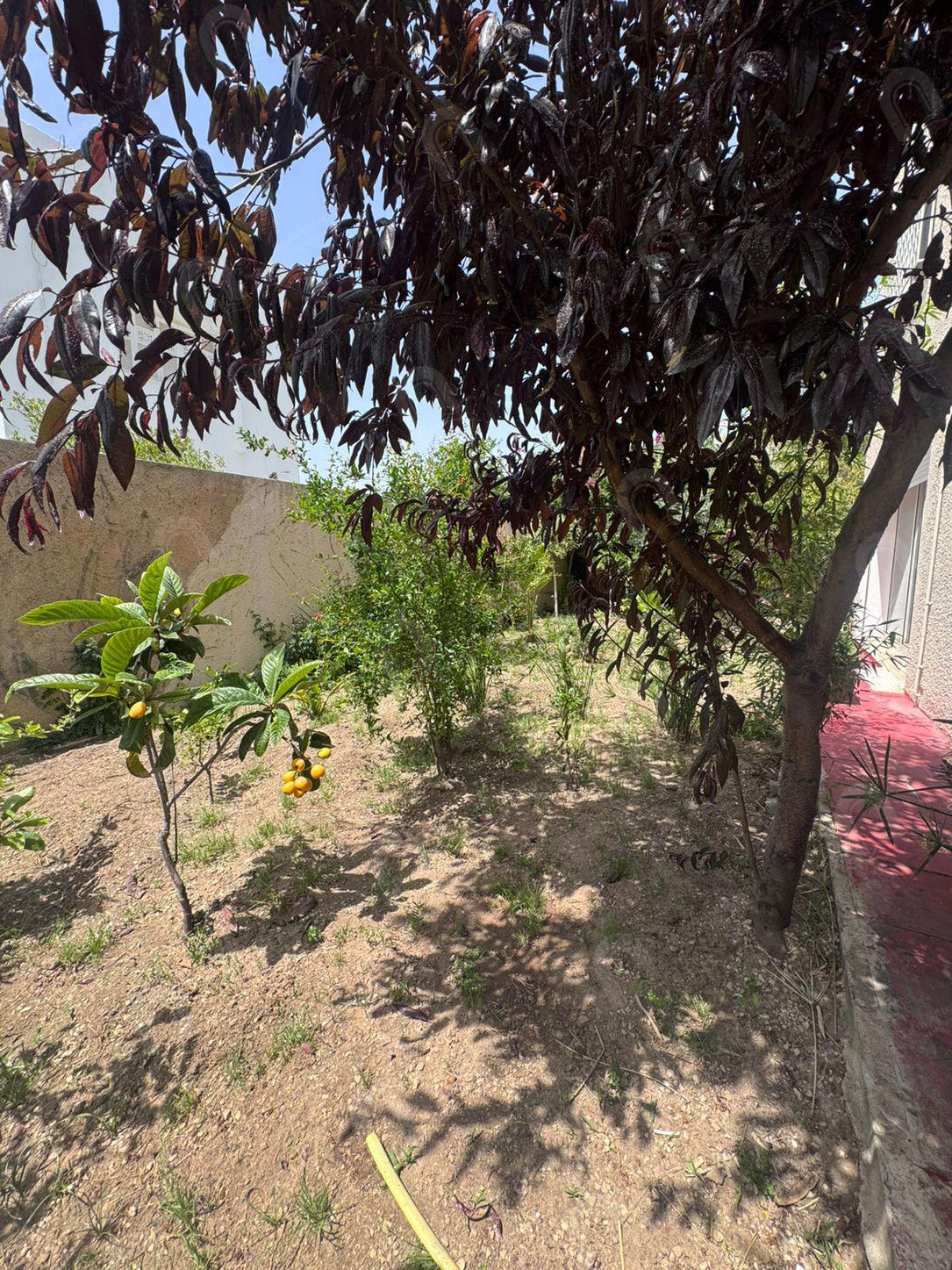 A vendre Villa 2S+5 avec grand jardin à cité romena