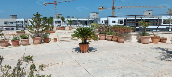 A vendre un spacieux s+4 à ain zaghouan