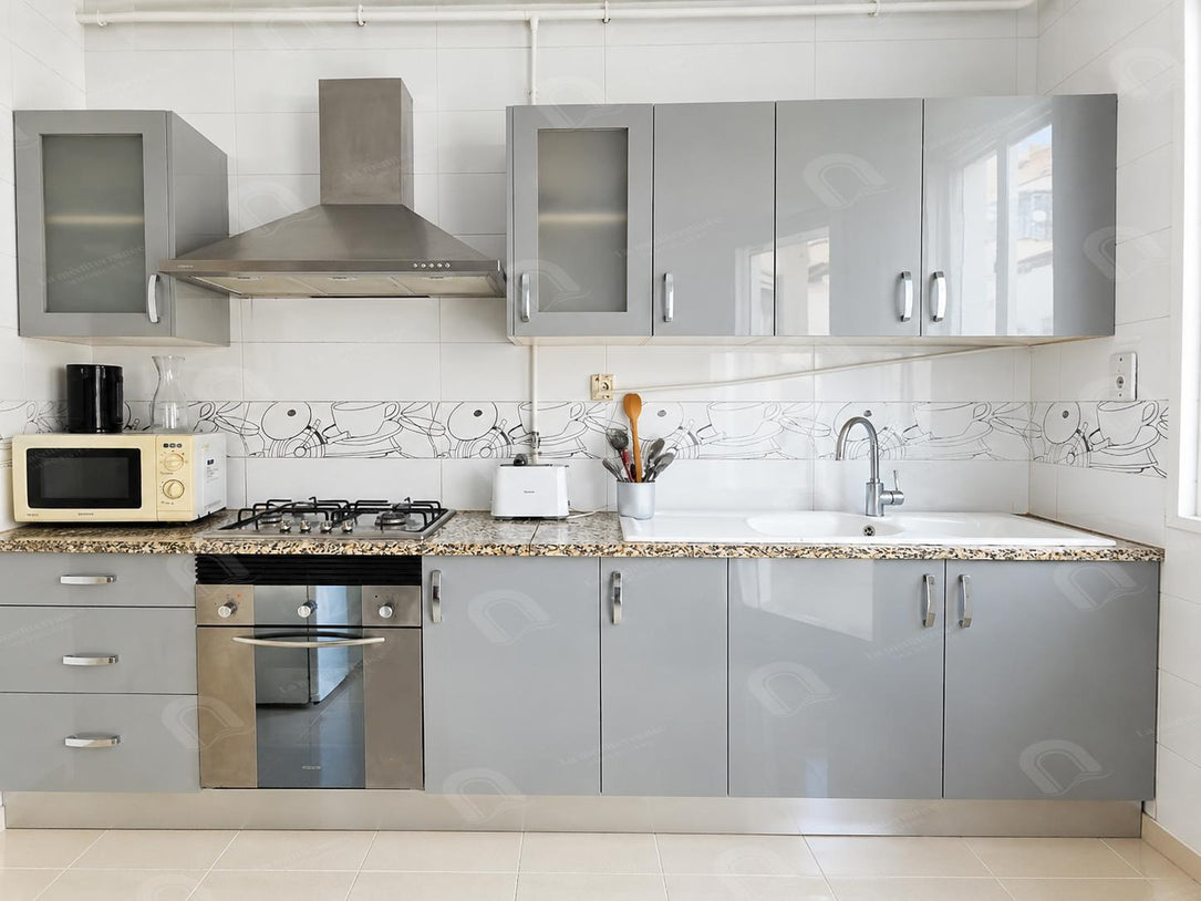 Appartement s+1 aux les berges du lac 2