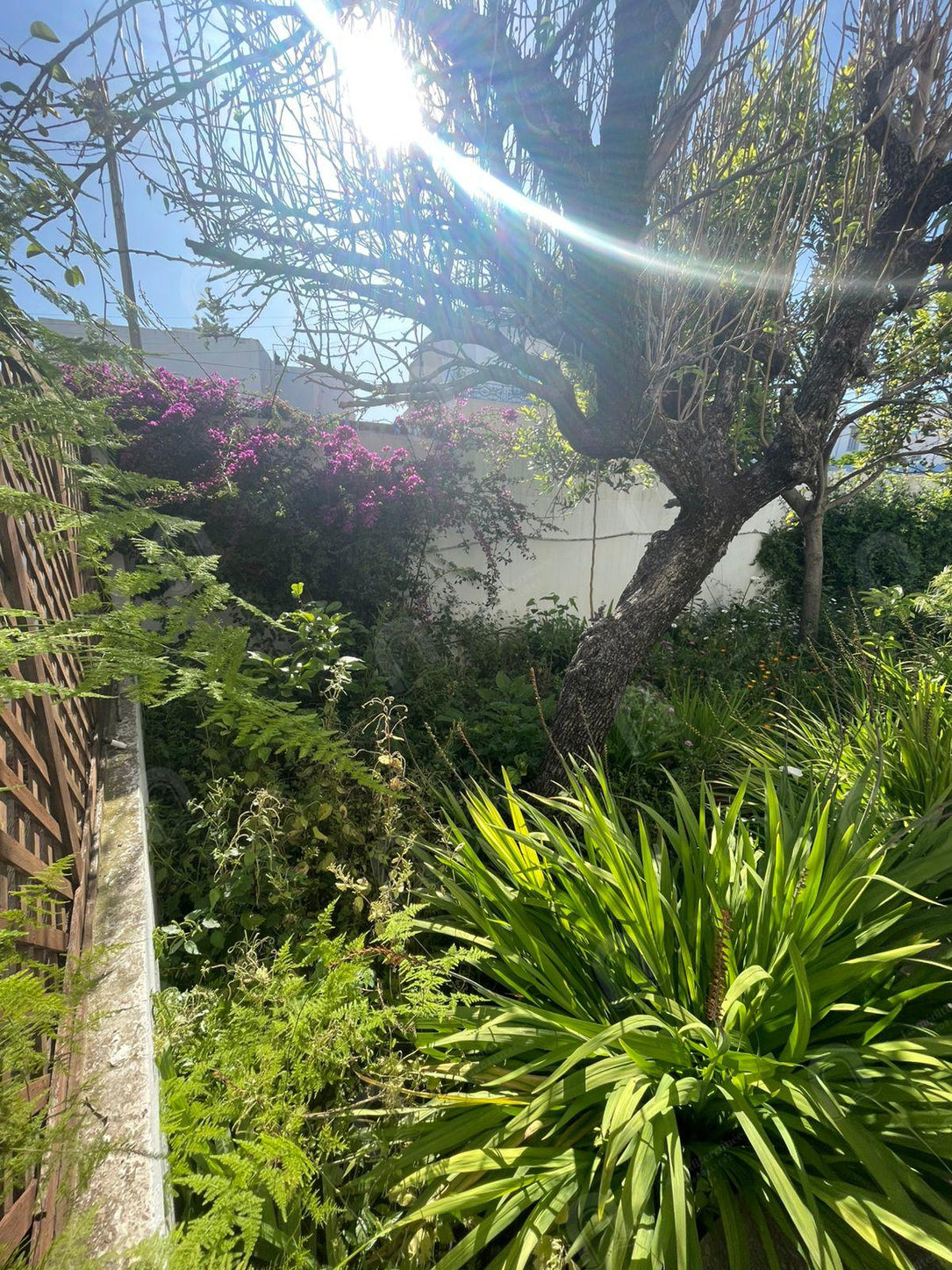 A vendre une villa 2S+1 indépendante  au bardo centre