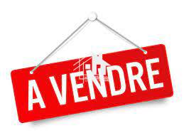 A vendre une villa r+1 à Ezzahra