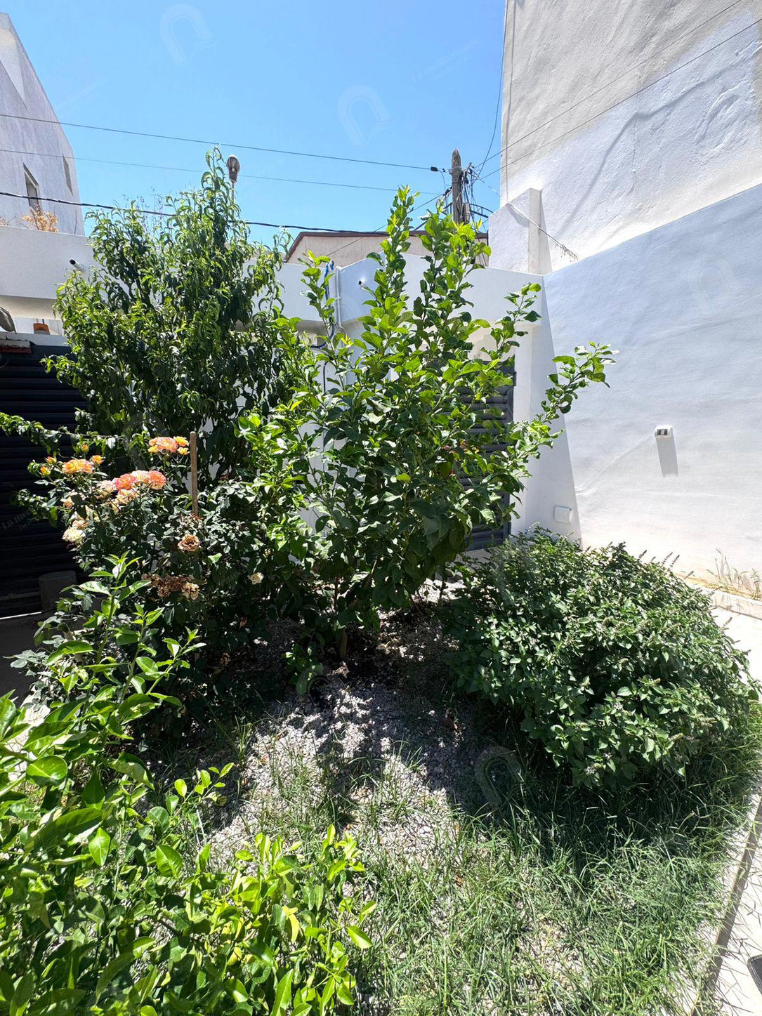 A vendre Superbe duplex au bardo