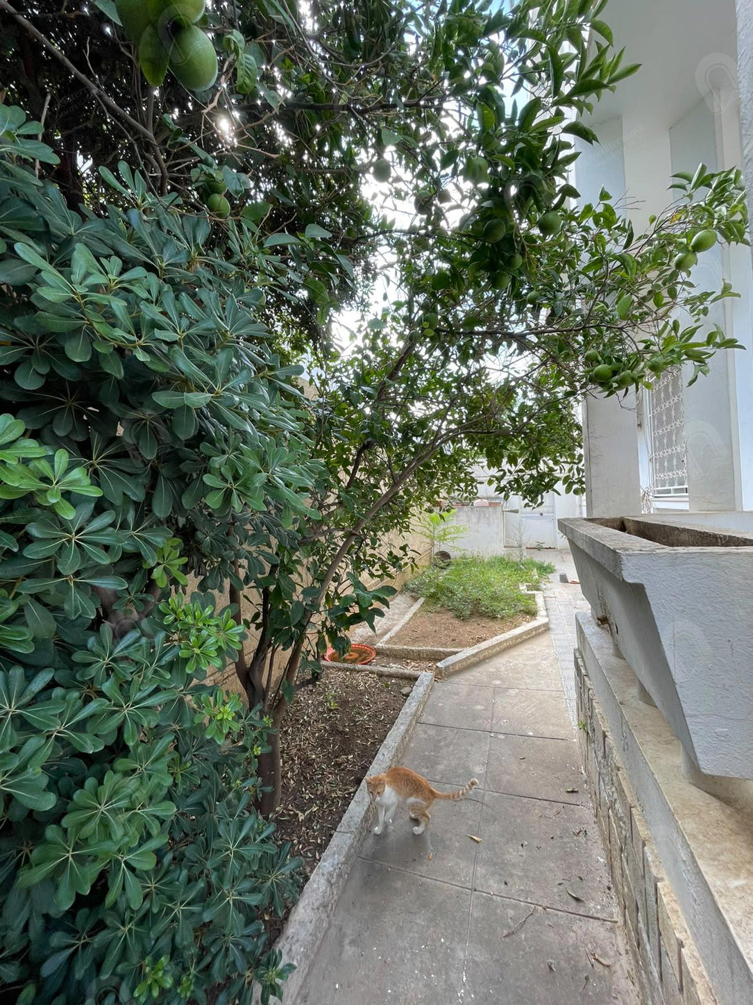 A vendre villa S+6 au coeur de bardo