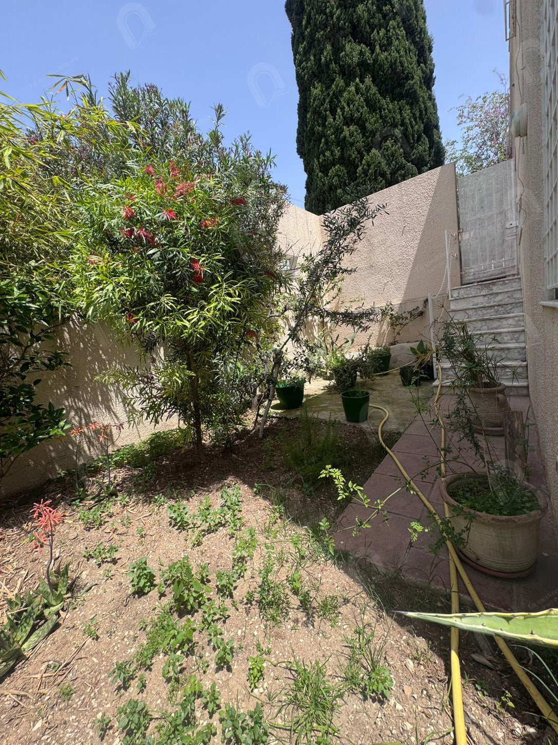 A vendre Villa 2S+5 avec grand jardin à cité romena
