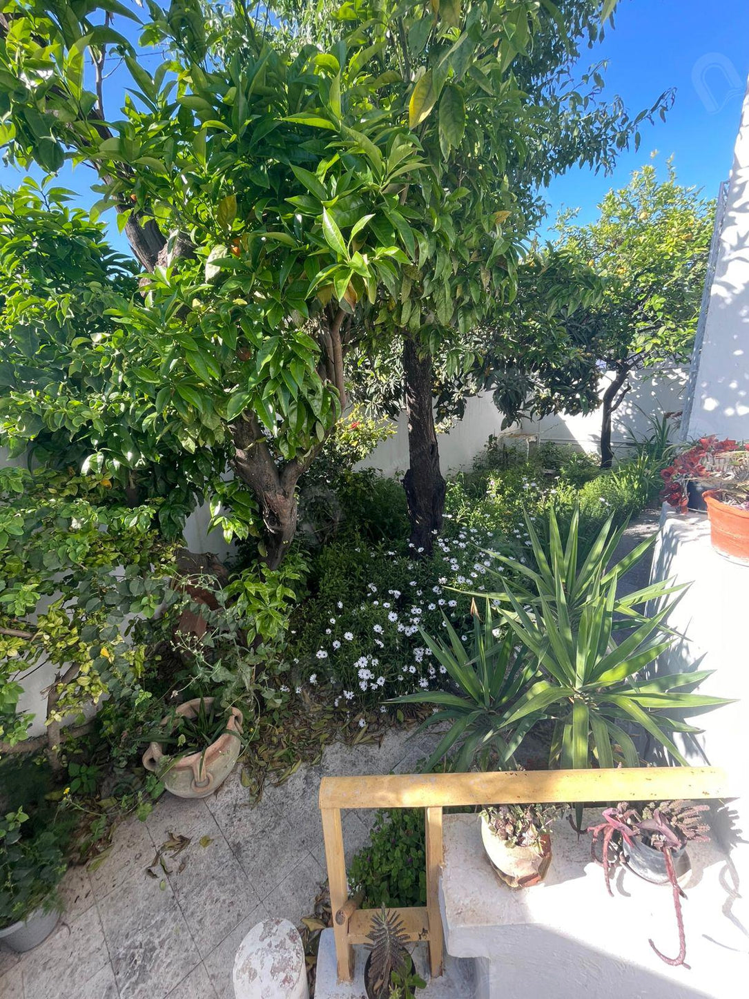 A vendre une villa 2S+1 indépendante  au bardo centre
