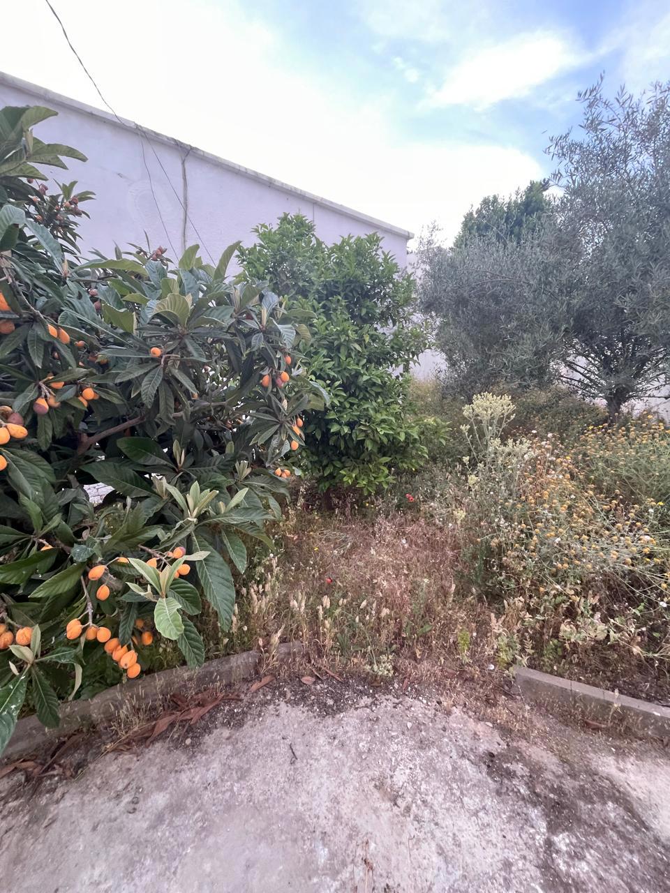 A louer une villa S+4 indépendante au bardo lahneya