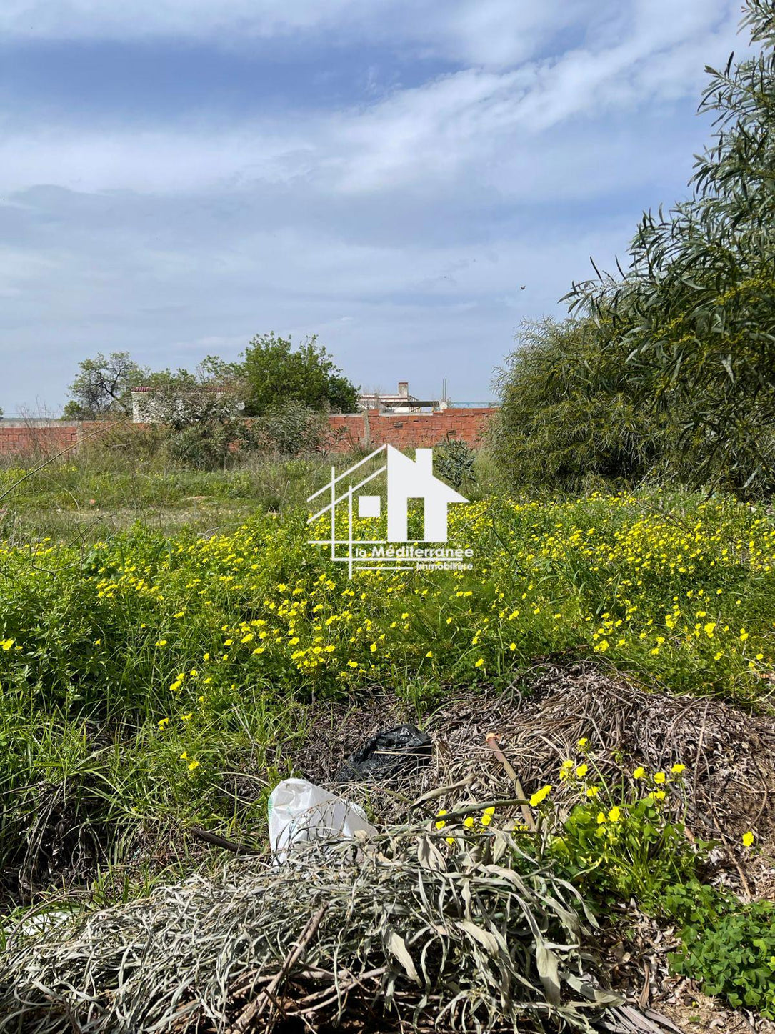 A vendre lot de terrain de 640m a jdm2