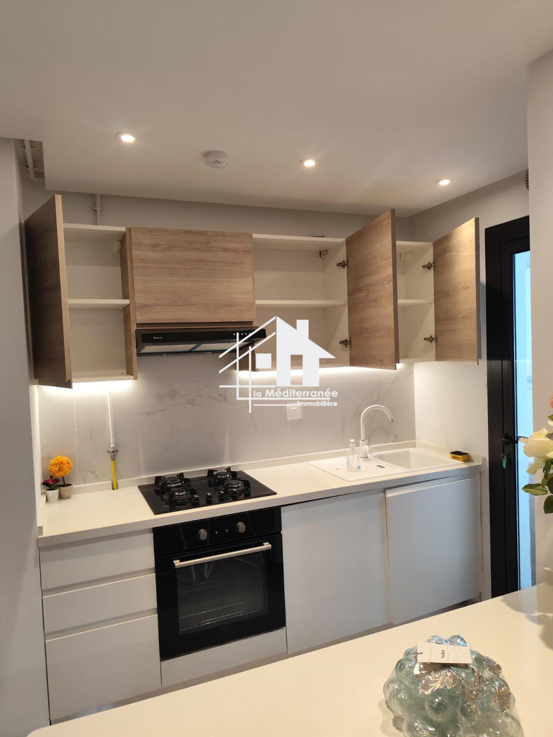 un appartement S+1 meublé jardin de carthage