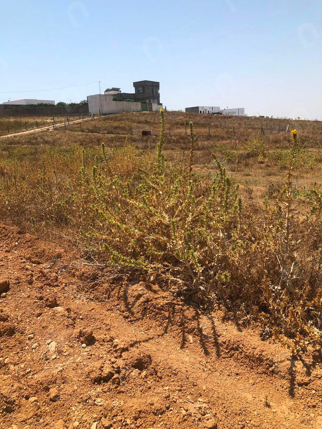A vendre terrain agricole a jardin d'el menzah