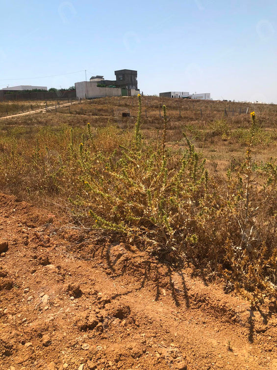 A vendre terrain agricole a jardin d'el menzah
