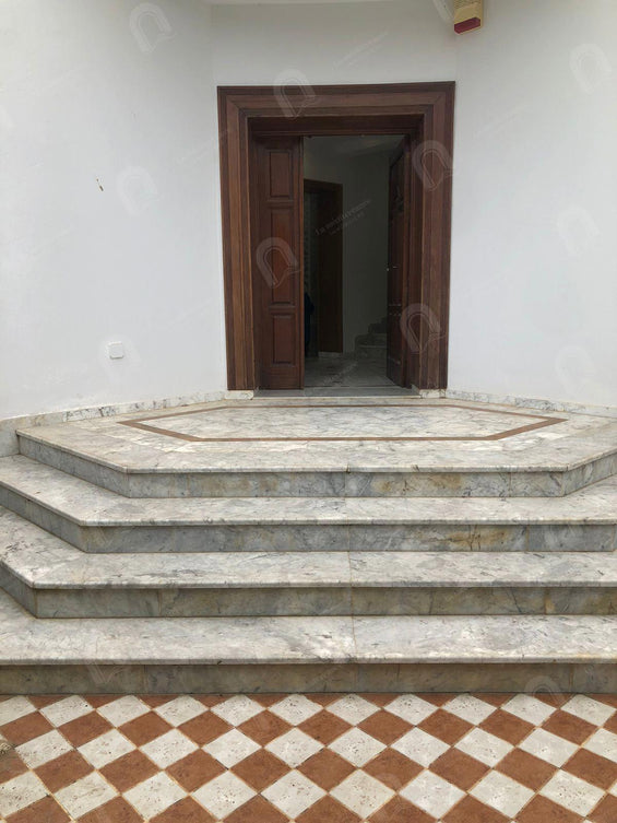 A vendre villa a jardin d’el menzah