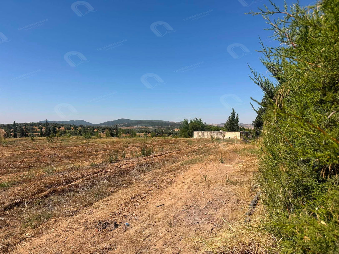 A vendre Terrain  à Mornrg