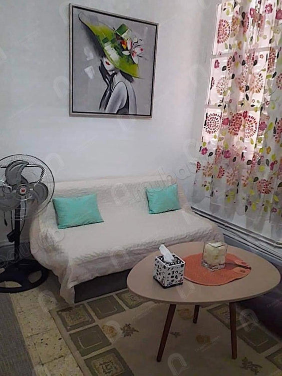 A louer appartement meublé S+1 à Lafayette