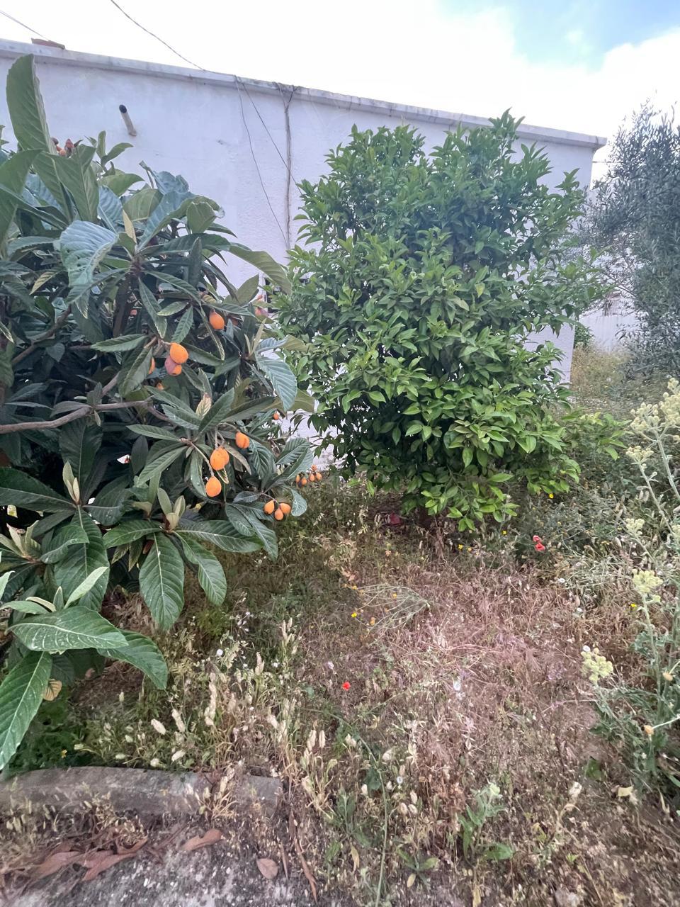 A louer une villa S+4 indépendante au bardo lahneya