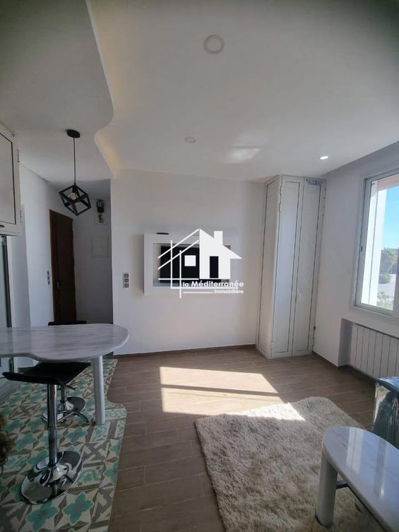 A louer appartement s1 meublé au Centre ville, Tunis