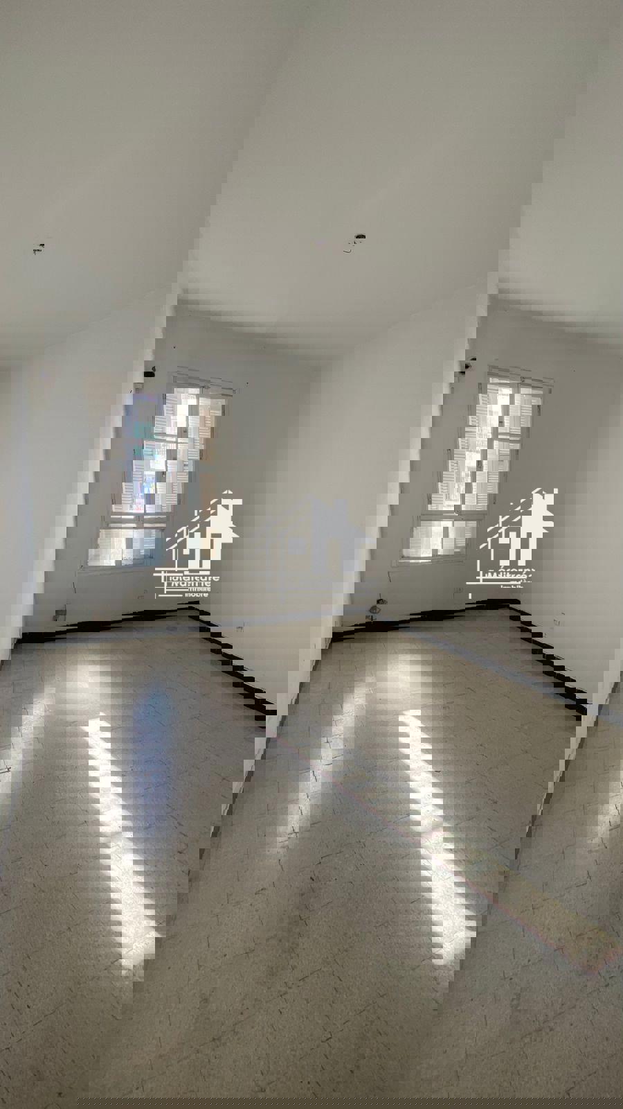 A louer un appartement s+ 2 Cité olympique