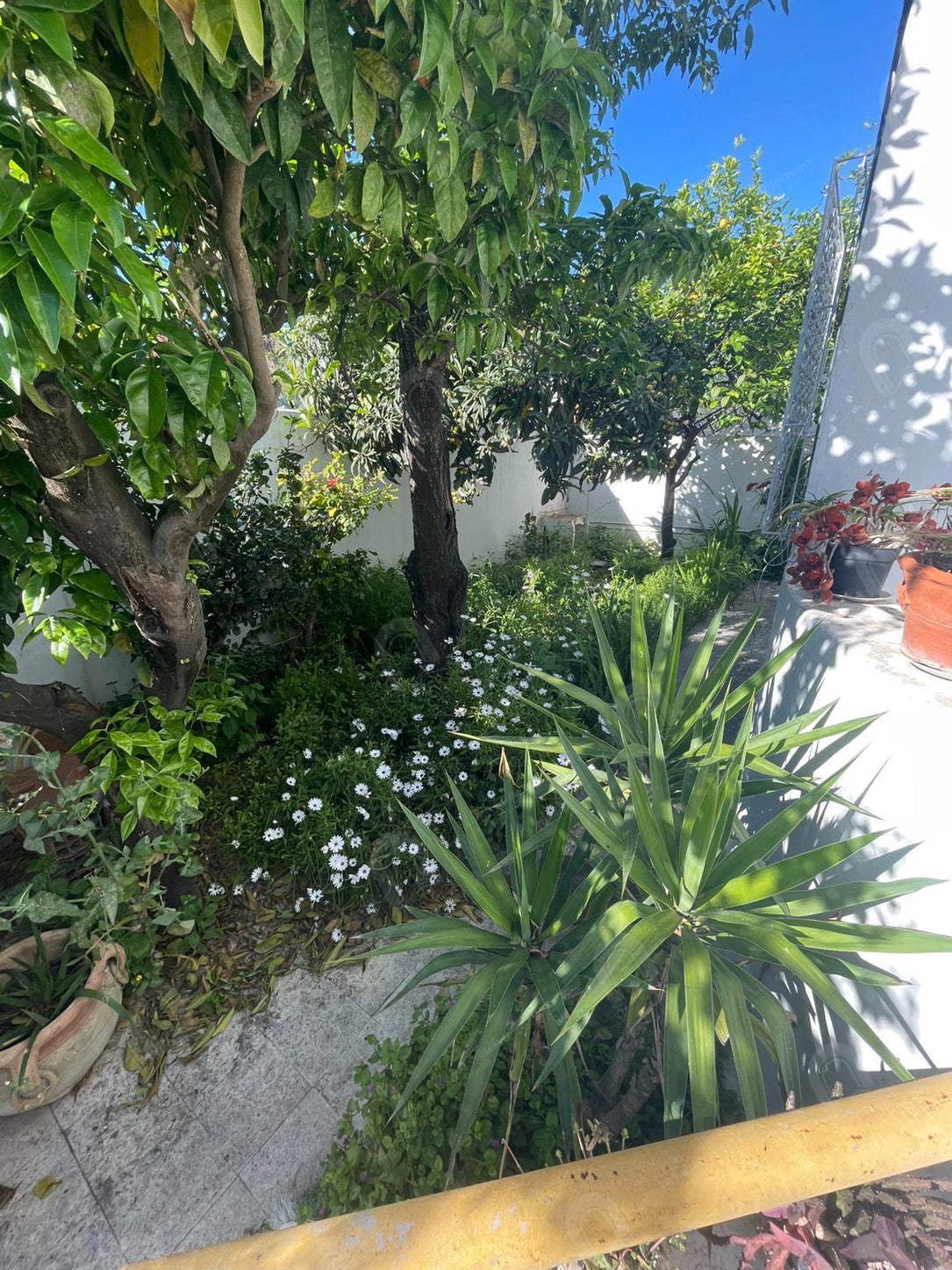 A vendre une villa 2S+1 indépendante  au bardo centre
