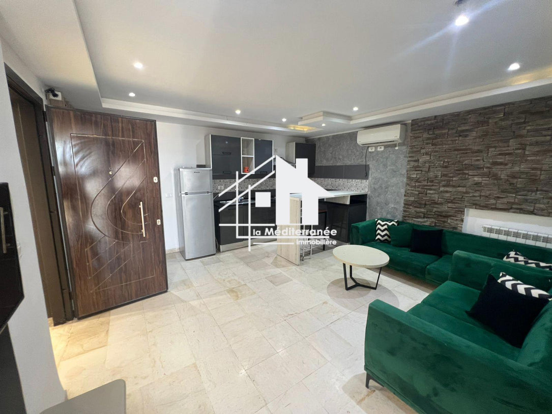 A vendre appartement s1 à Hammam-lif
