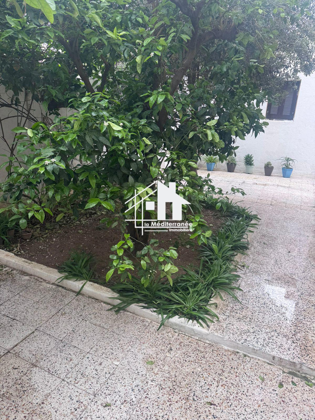 A louer étage de villa S+3 situé au RDC au bardo cité fatouma