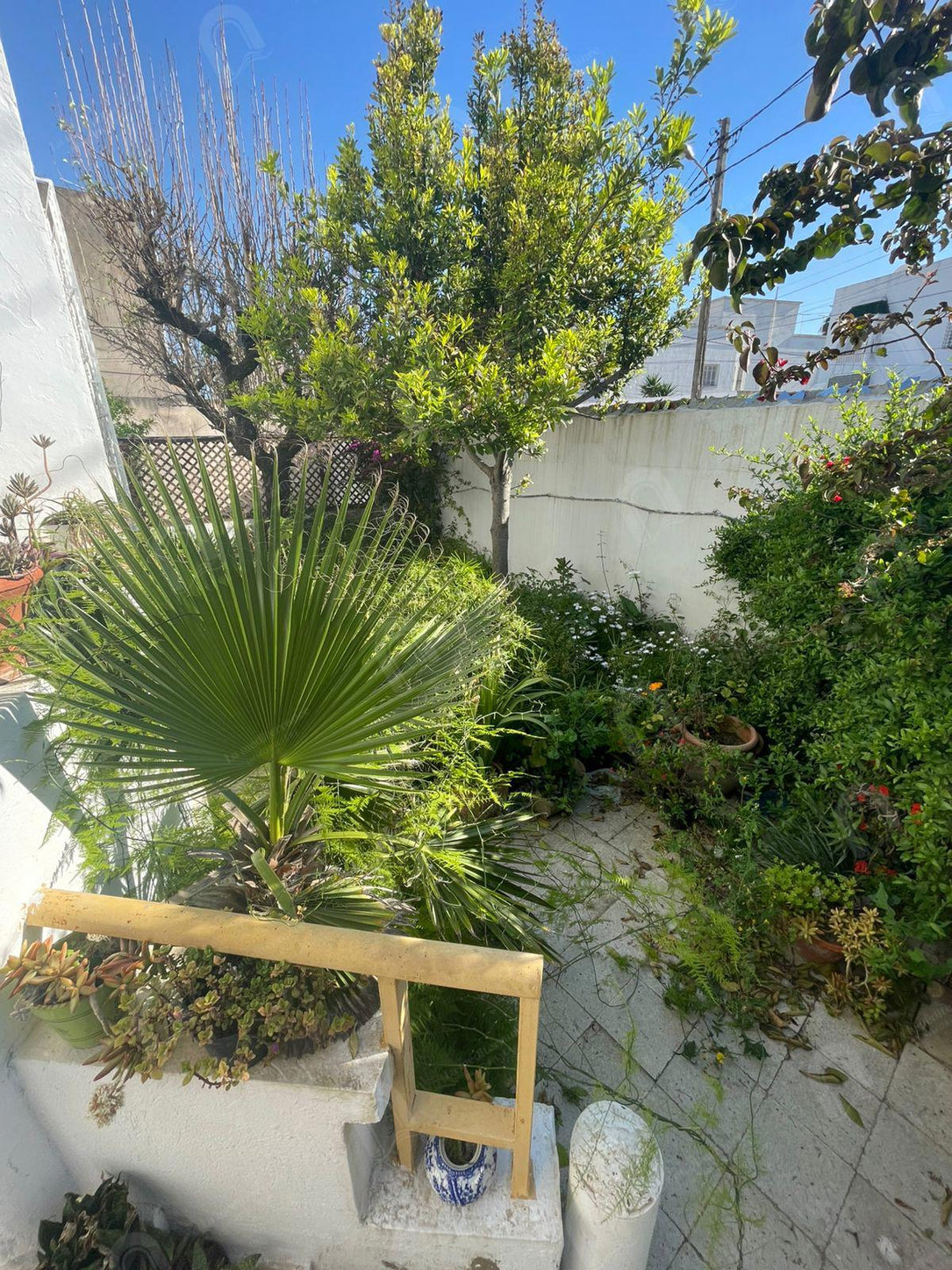 A vendre une villa 2S+1 indépendante  au bardo centre