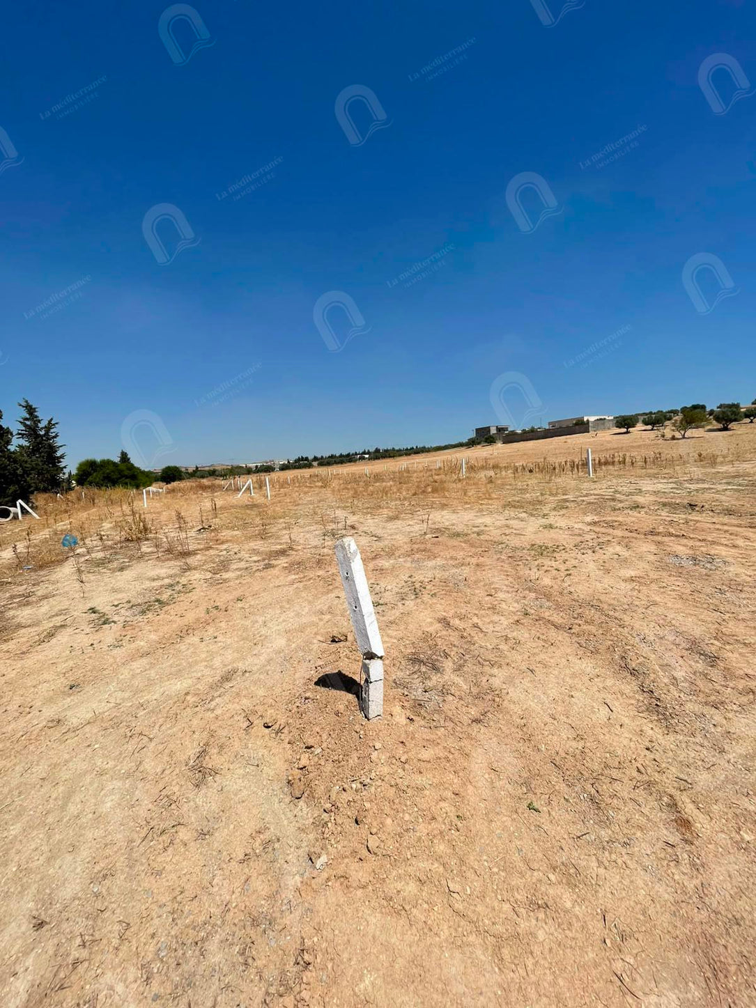 A vendre un terrain à Mornaguia