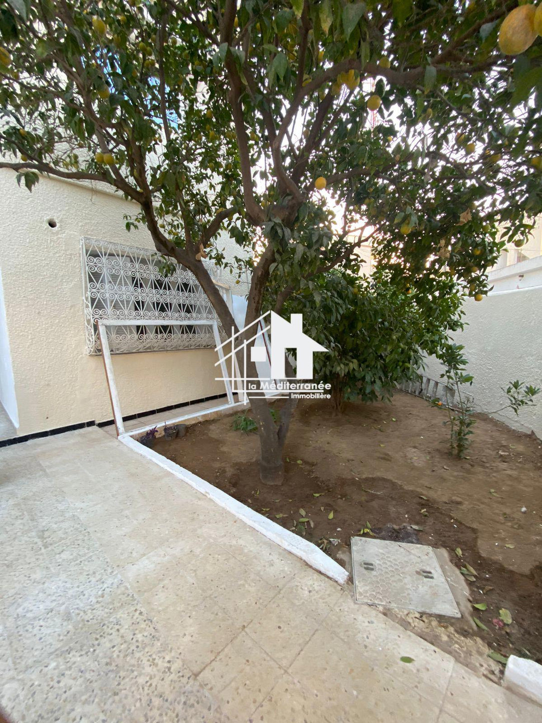 a louer rez de chaussée s+3 au bardo