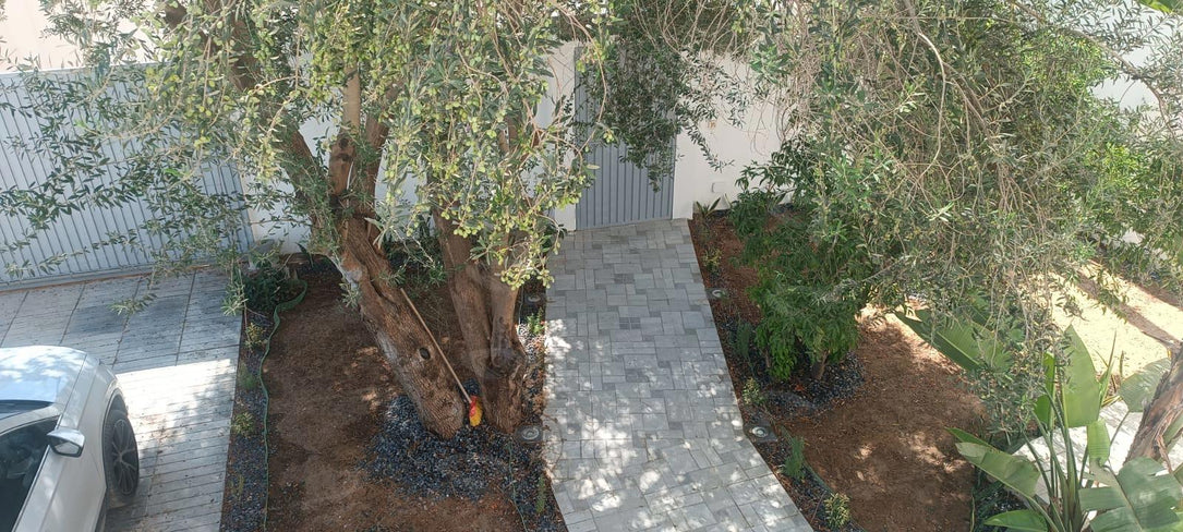 A louer une villa indépendante avec jardin à chotrana
