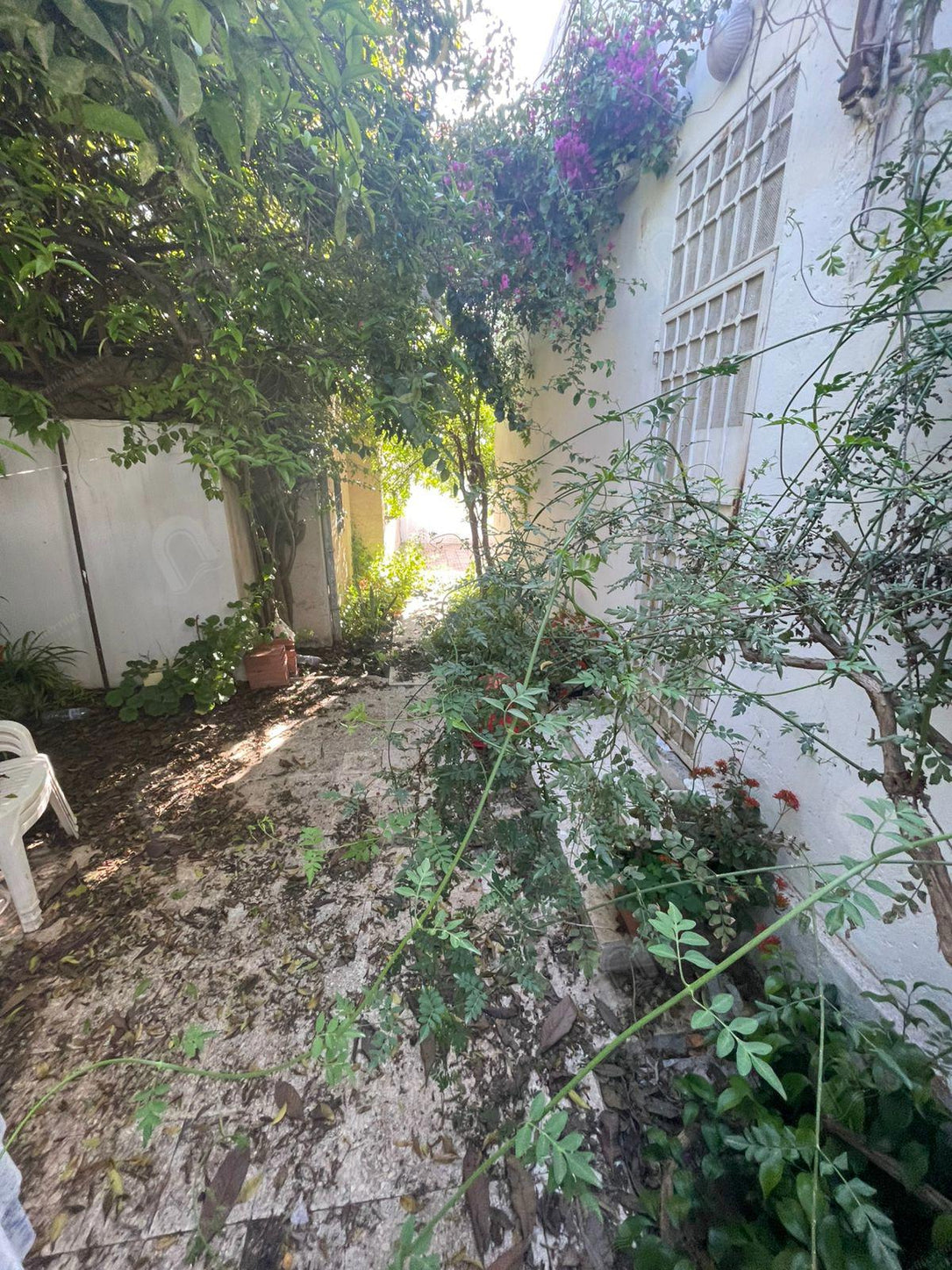 A vendre une villa 2S+1 indépendante  au bardo centre